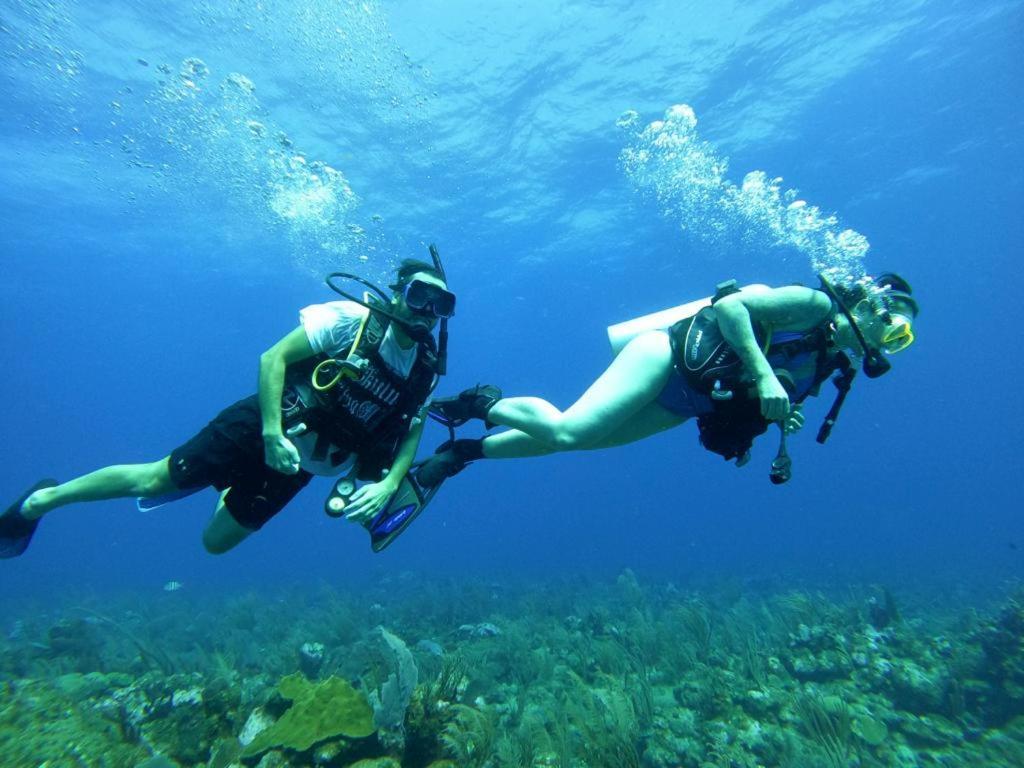 Corona Del Mar San Pedro  Dış mekan fotoğraf